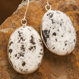 White Buffalo Necklace & Earring Set